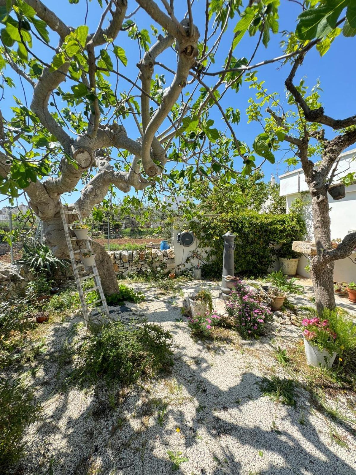 Trulli Resort Aia Piccola Alberobello Luaran gambar