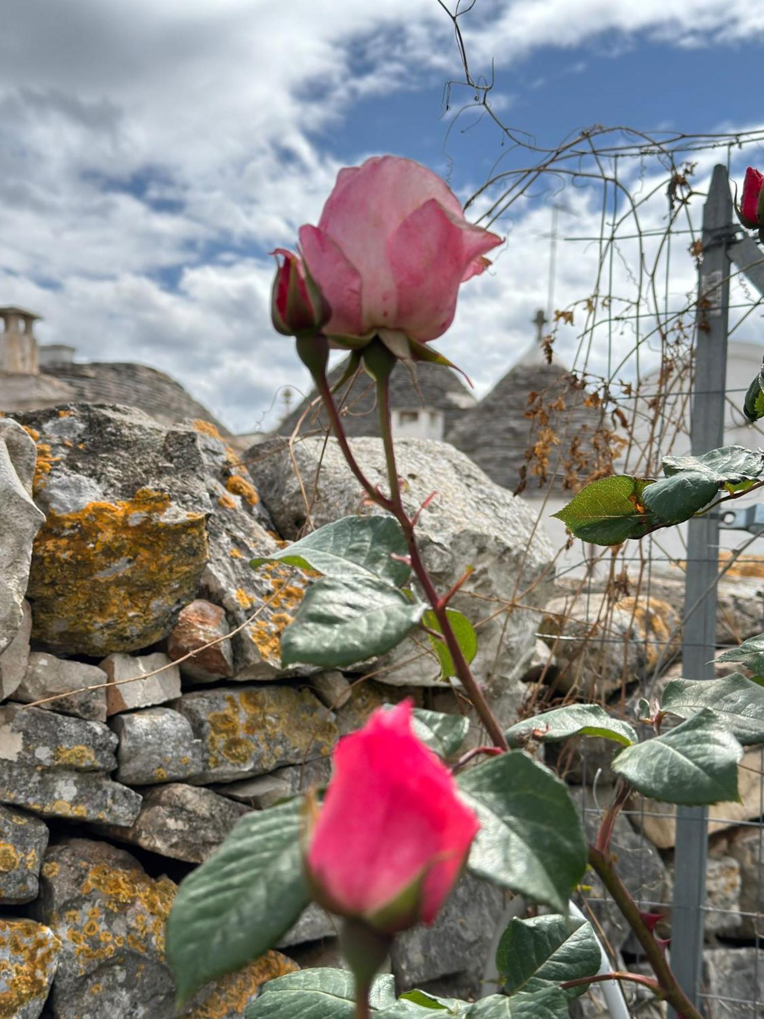 Trulli Resort Aia Piccola Alberobello Luaran gambar